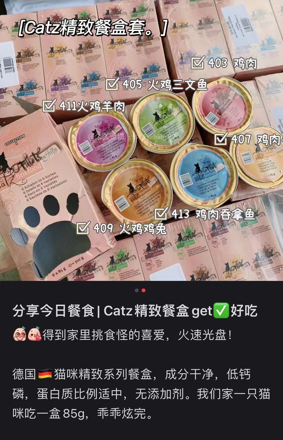 德国Catz系列餐盒