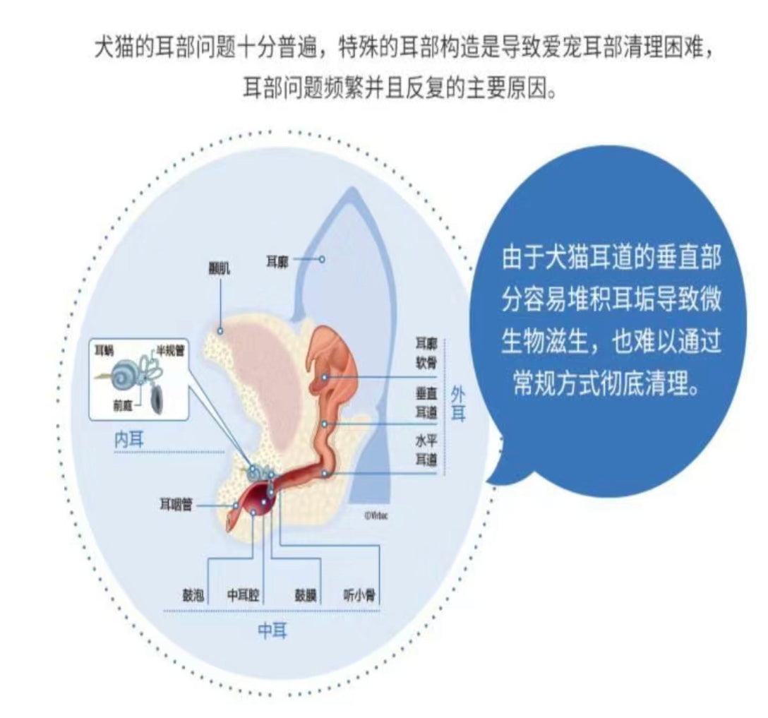 维克 耳漂